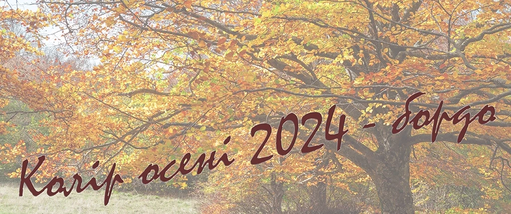 Autumn 2024